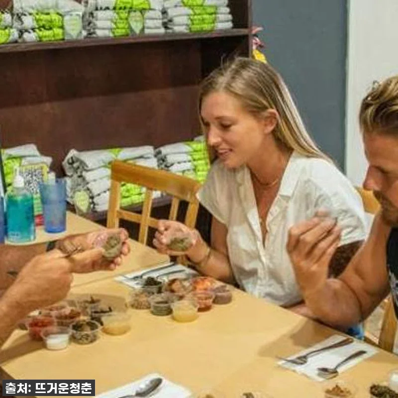 미국 하와이 호놀룰루 프라이빗 현지 관련 이미지 4