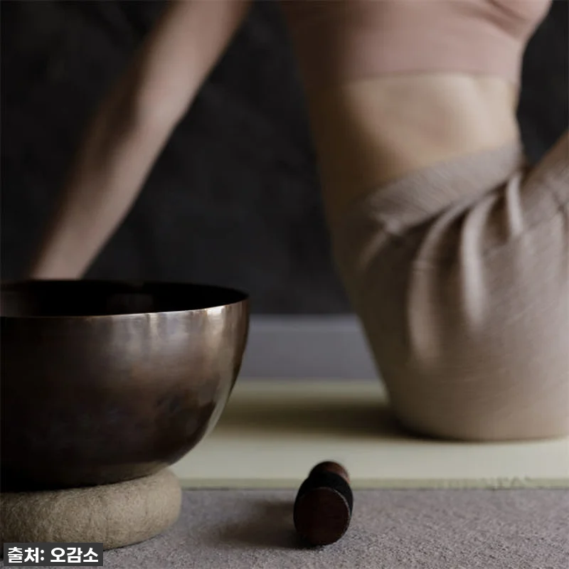 지친 일상 속 한줄기 빛! 오감소 그 관련 이미지 5