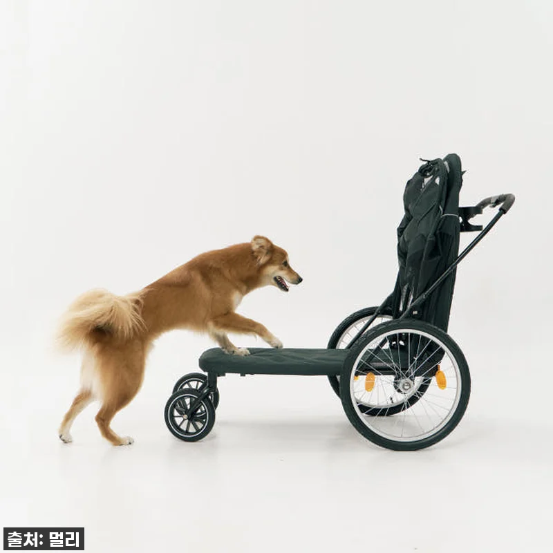 멀리 중대형견 강아지유모차 MW8 보 관련 이미지 4