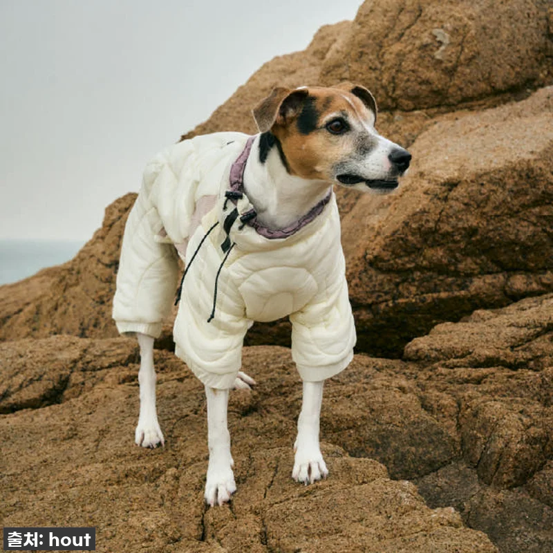 하웃 강아지 패딩 올인원 애견 겨울 관련 이미지 4
