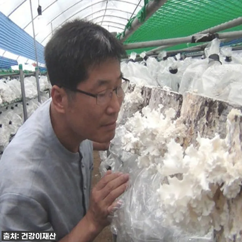 환절기 건강은 물론 활력까지? 경신바 관련 이미지 6