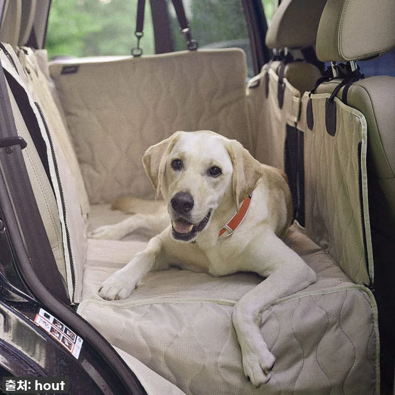 우리 강아지 여행 필수템! 하웃 강아 관련 이미지 5