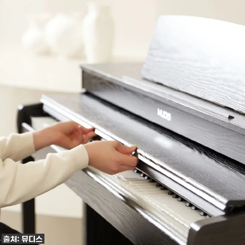 우리 아이의 음악 친구, 뮤디스 MQ 관련 이미지 5