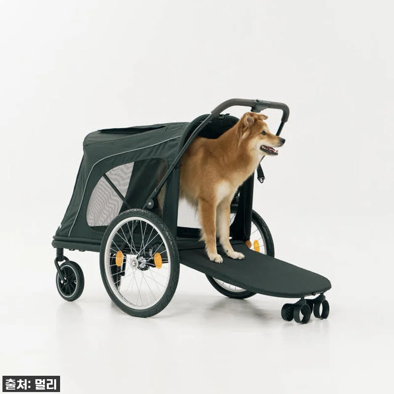 멀리 중대형견 강아지유모차 MW8 보 관련 이미지 5
