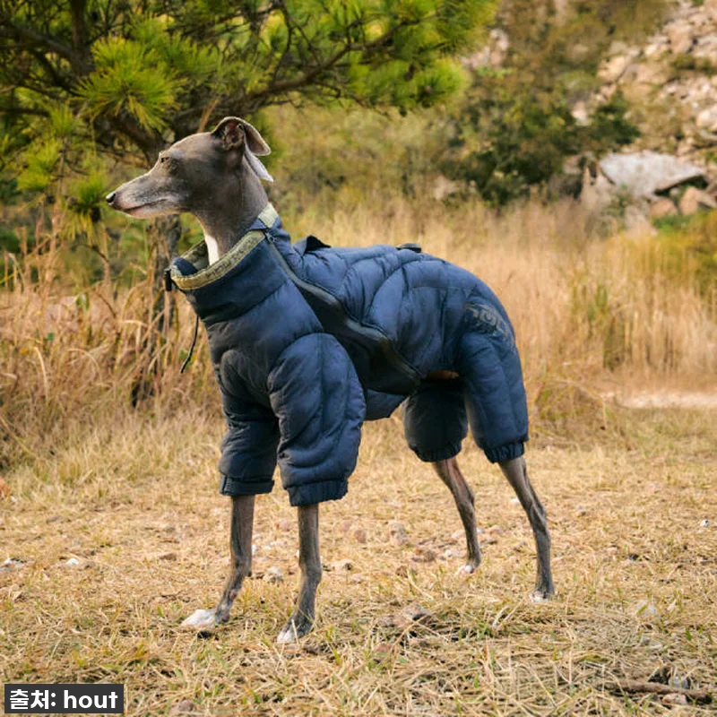 하웃 강아지 패딩 올인원 애견 겨울 관련 이미지 5