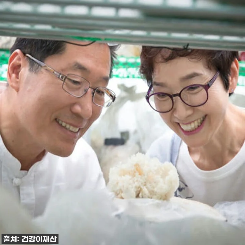 환절기 건강은 물론 활력까지? 경신바 관련 이미지 7