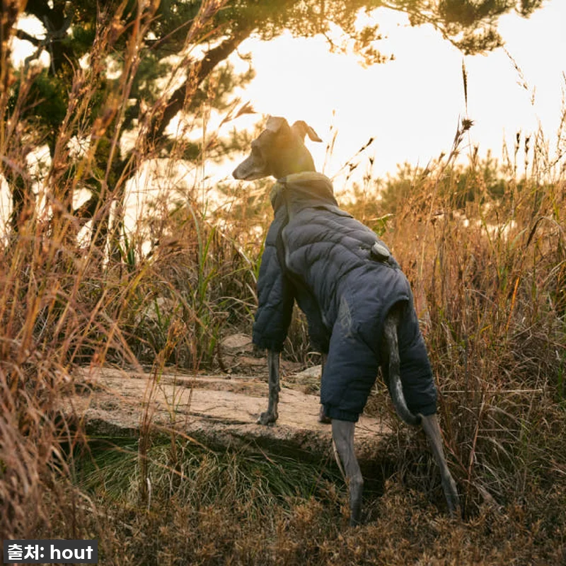 하웃 강아지 패딩 올인원 애견 겨울 관련 이미지 6