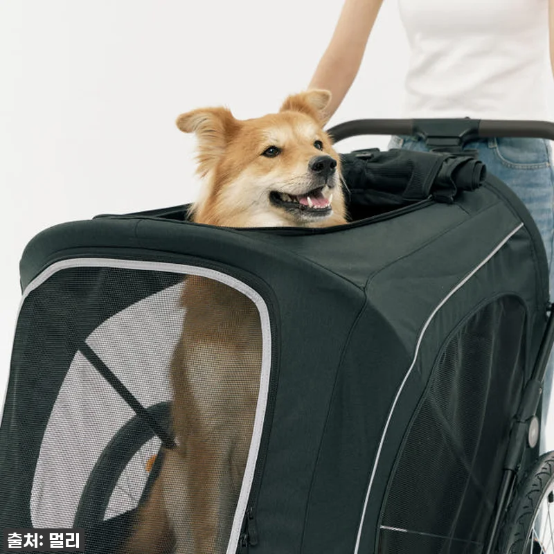 멀리 중대형견 강아지유모차 MW8 보 관련 이미지 7