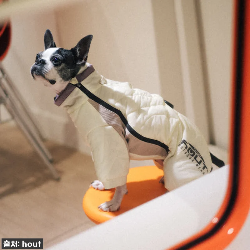 하웃 강아지 패딩 올인원 애견 겨울 관련 이미지 7