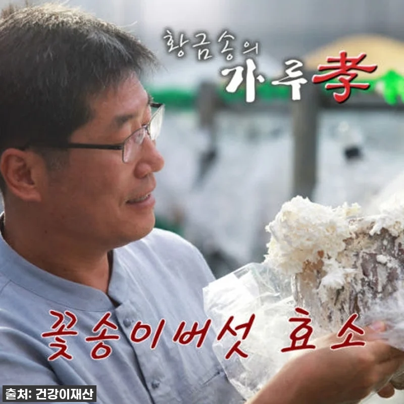 환절기 건강은 물론 활력까지? 경신바 관련 이미지 9