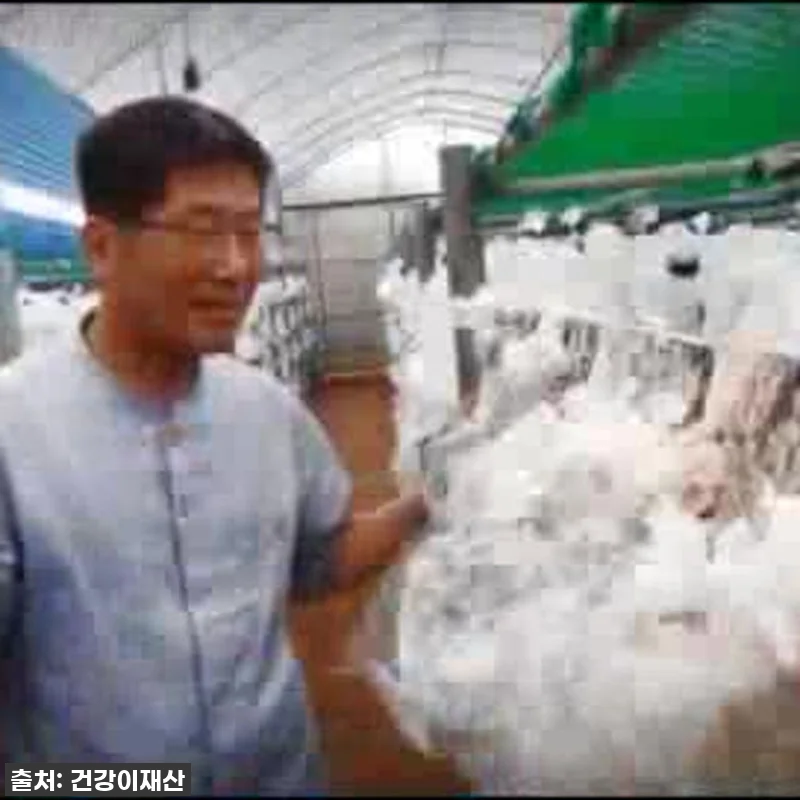 환절기 건강은 물론 활력까지? 경신바 관련 이미지 10