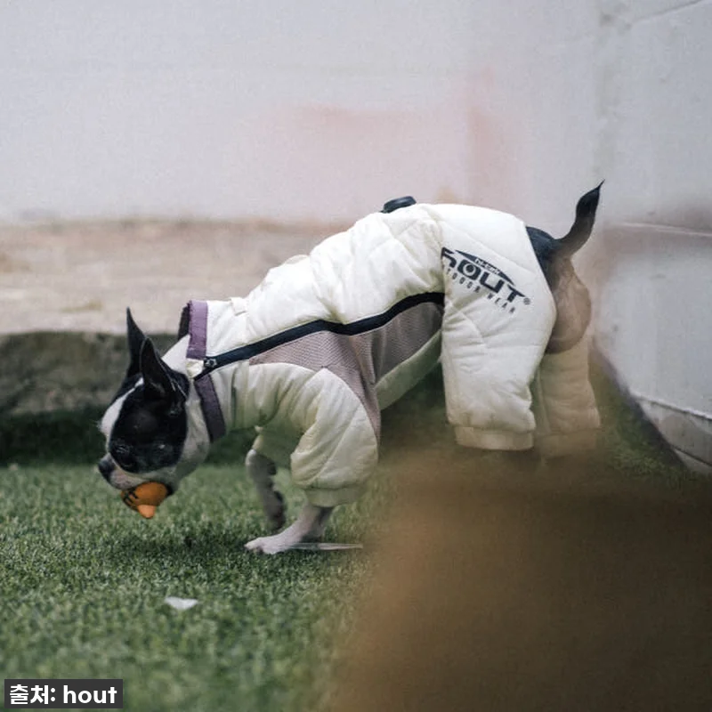 하웃 강아지 패딩 올인원 애견 겨울 관련 이미지 9