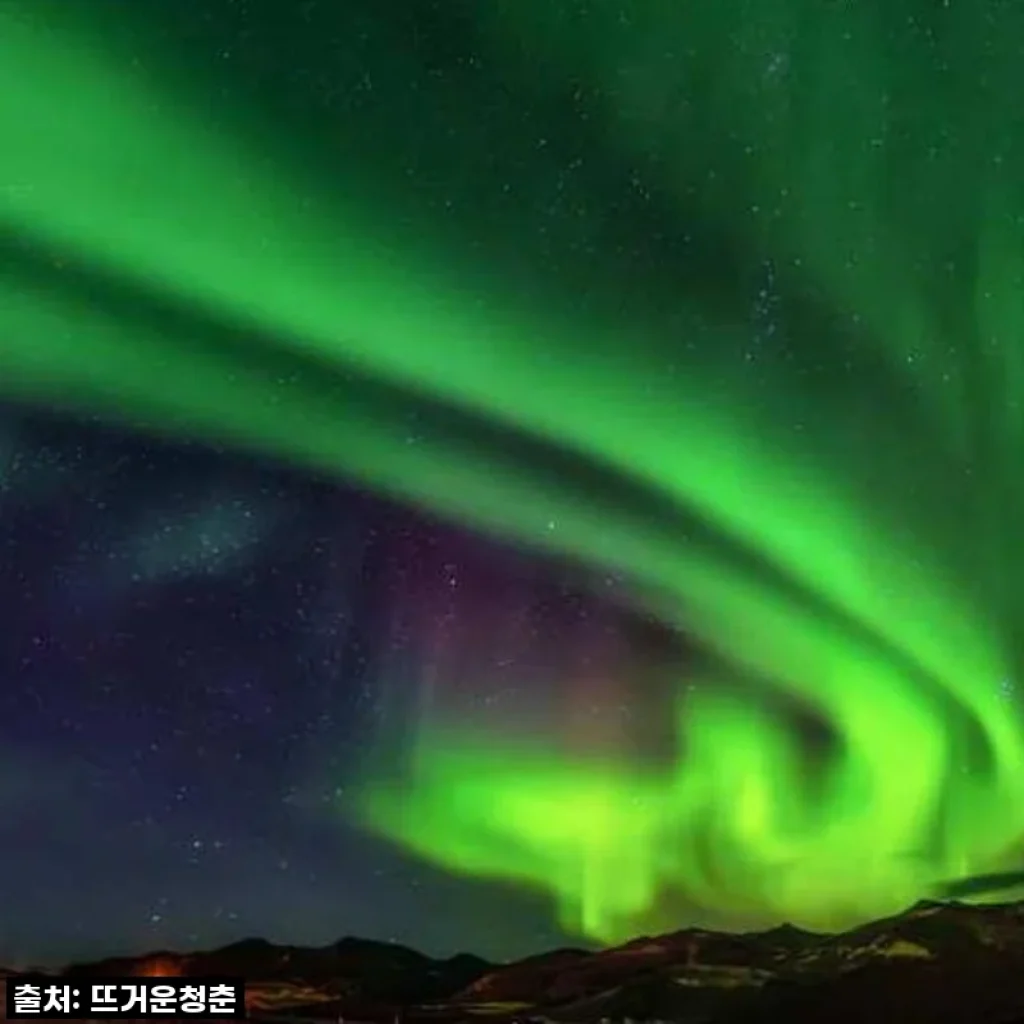 꿈만 같던 핀란드 겨울왕국, 로바니에미 허스키 사파리&킹크랩 후기!