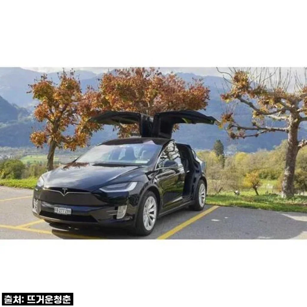 스위스 취리히 공항에서 그린델발트까지, 인생샷 남기는 프라이빗 이동 서비스 후기!