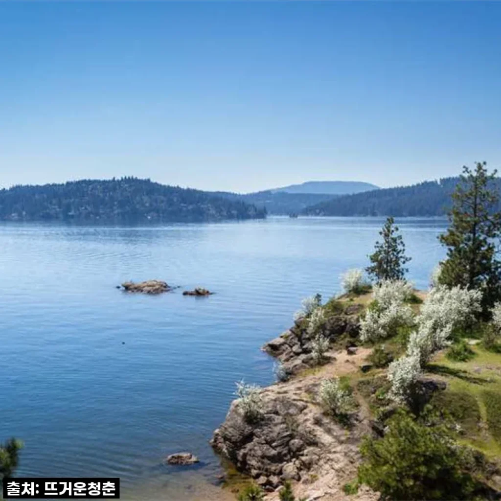 꿈만 같던 미국 옐로스톤 & 그랜드 티턴 4박 5일 시애틀 출발 투어, 직접 경험한 리얼 후기!