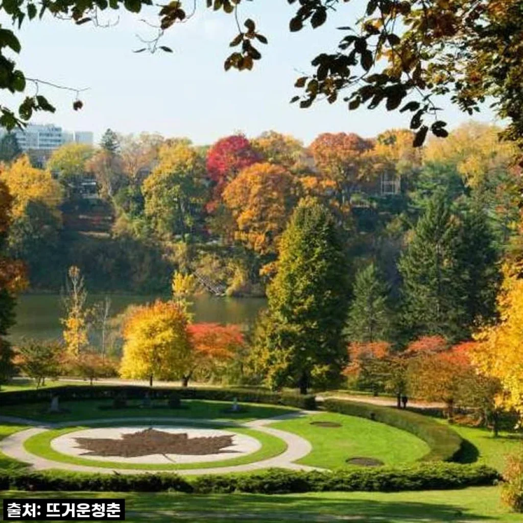 뉴욕 출발 토론토 5일 투어, 캐나다 동부 매력에 푹 빠진 솔직 후기! 나이아가라 폭포부터 퀘벡, 사우전드 아일랜드까지