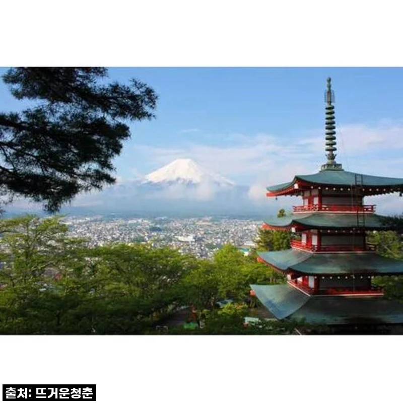 도쿄에서 후지산 프라이빗 1일 투어, 이 특별함 직접 경험해보니 감탄했어요!