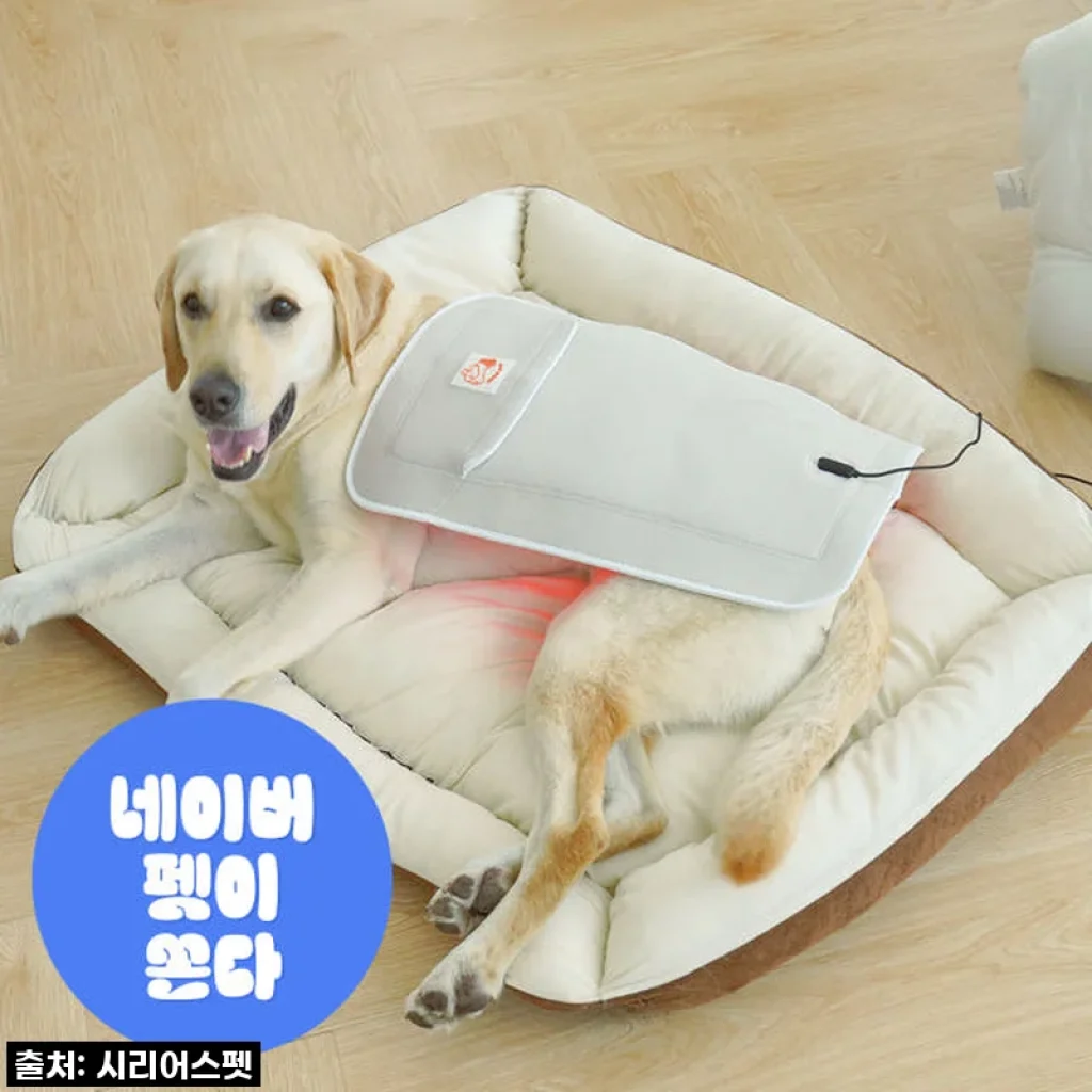 따뜻한 온기로 우리 댕냥이 관절 지켜주기! 시리어스펫 슬개골 따땃패드 프로 직접 사용해보니