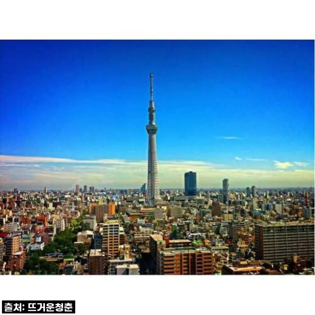 도쿄 여행, 이제는 현지인과 함께! 프라이빗 투어로 만끽한 특별한 도쿄의 하루