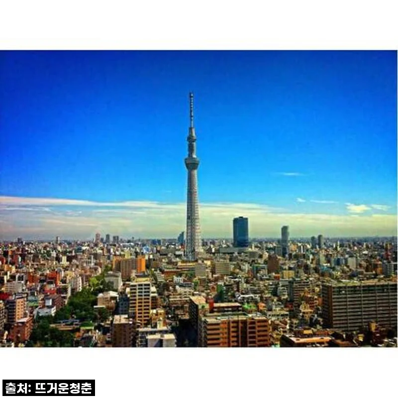 도쿄 여행, 이제는 현지인과 함께! 프라이빗 투어로 만끽한 특별한 도쿄의 하루