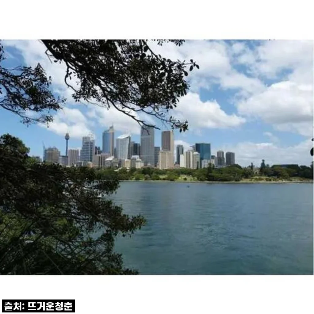 잊지 못할 시드니 여행, 현지인과 함께한 맞춤형 투어 솔직 후기!