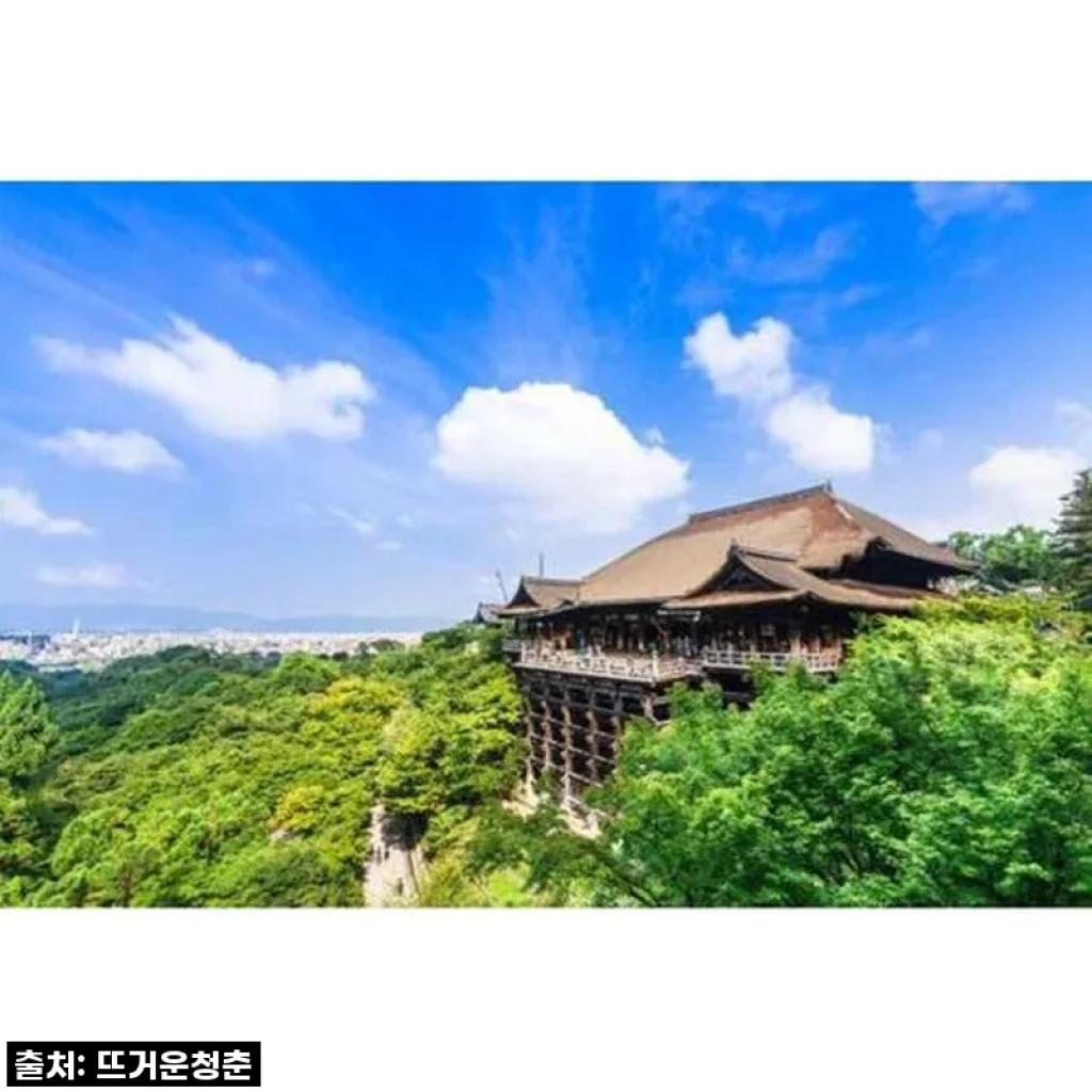 교토, 나만의 속도로 즐기는 완벽한 하루! 현지 가이드와 함께한 프라이빗 투어 솔직 후기