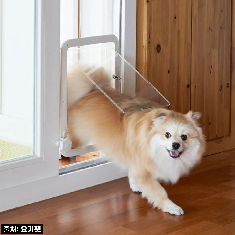 우리집 댕냥이 베란다 출입문, '요기펫 높이조절 펫도어' 직접 써보니 이건 무조건 추천템!