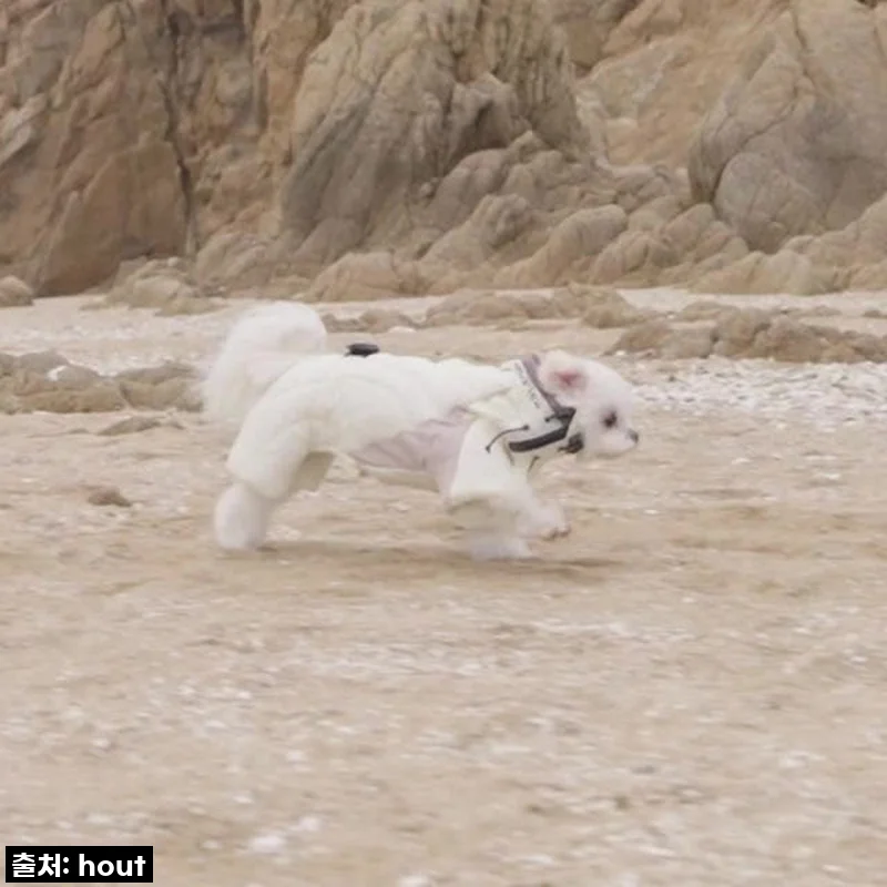 하웃 강아지 패딩 올인원 애견 겨울 옷 경량 패딩 개프코어