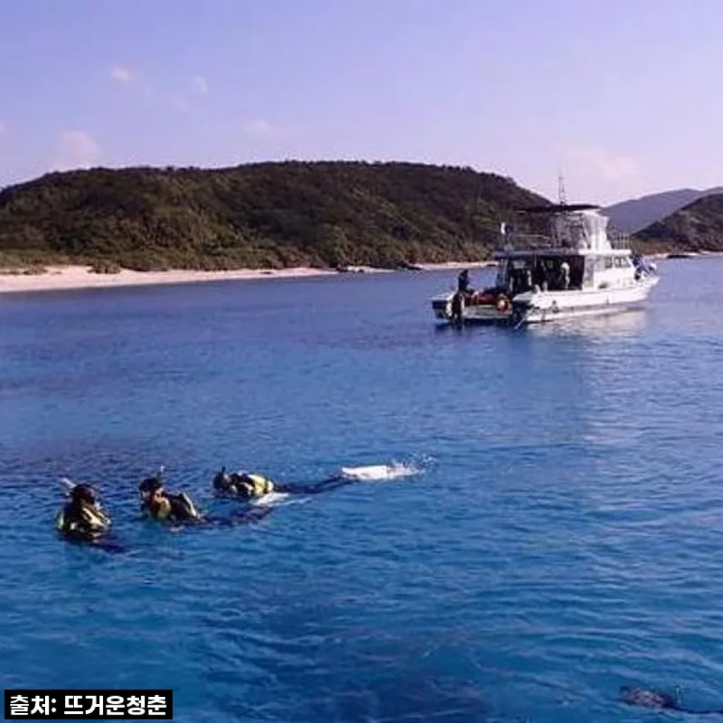 오키나와 케라마 제도 체험 다이빙, 자격증 없이도 환상적인 바닷속 세상 만끽! (1박 2일 생생 후기)