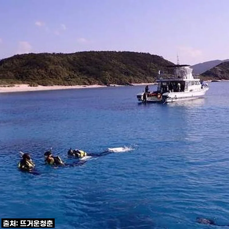 오키나와 케라마 제도 체험 다이빙, 자격증 없이도 환상적인 바닷속 세상 만끽! (1박 2일 생생 후기)