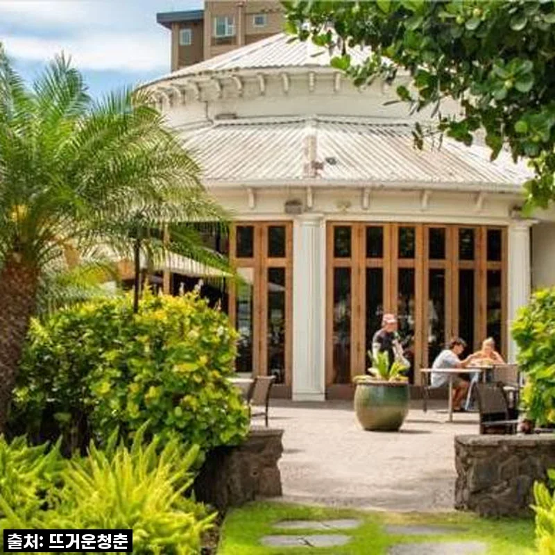 미국 하와이 호놀룰루 프라이빗 현지 푸드 투어, 직접 체험한 리얼 후기