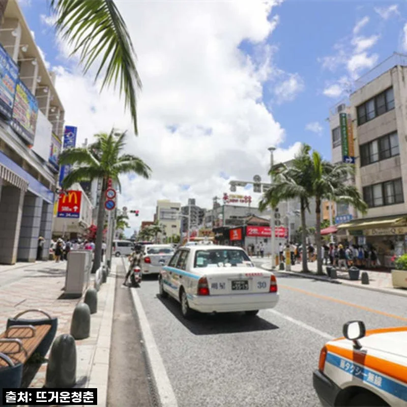 일본 나하 대절차 여행 오키나와 1일 투어 후기 – 알파 6인승 5인 탑승 경험