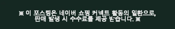 프랑스 파리 맞춤형 전세 차량 1일 투어 사용 후기와 추천 3 이해관계문구