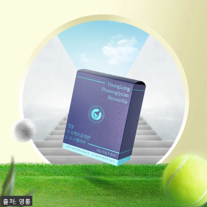 영롱 프로테오글리칸 & 보스웰리아 사 관련 이미지 1