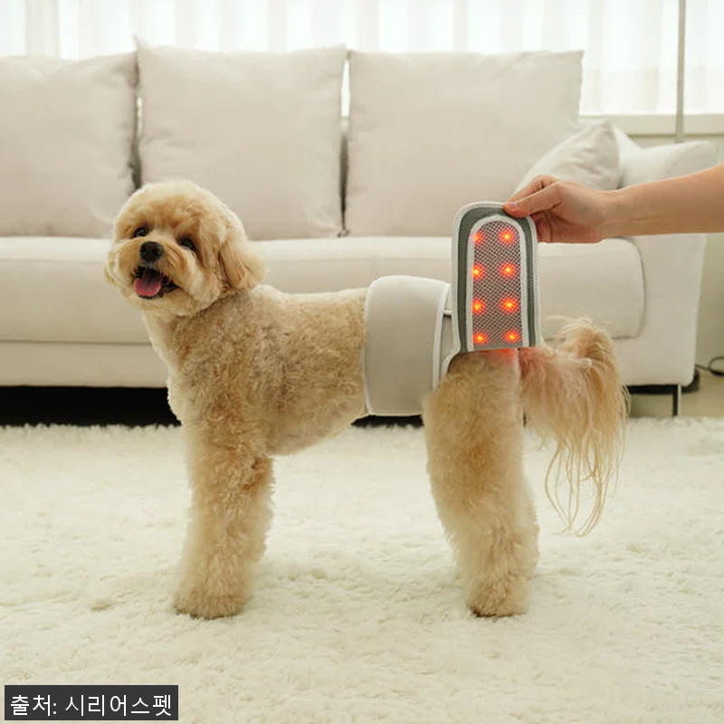 시리어스펫 슬개골 따땃망토 프로 사용 관련 이미지 1