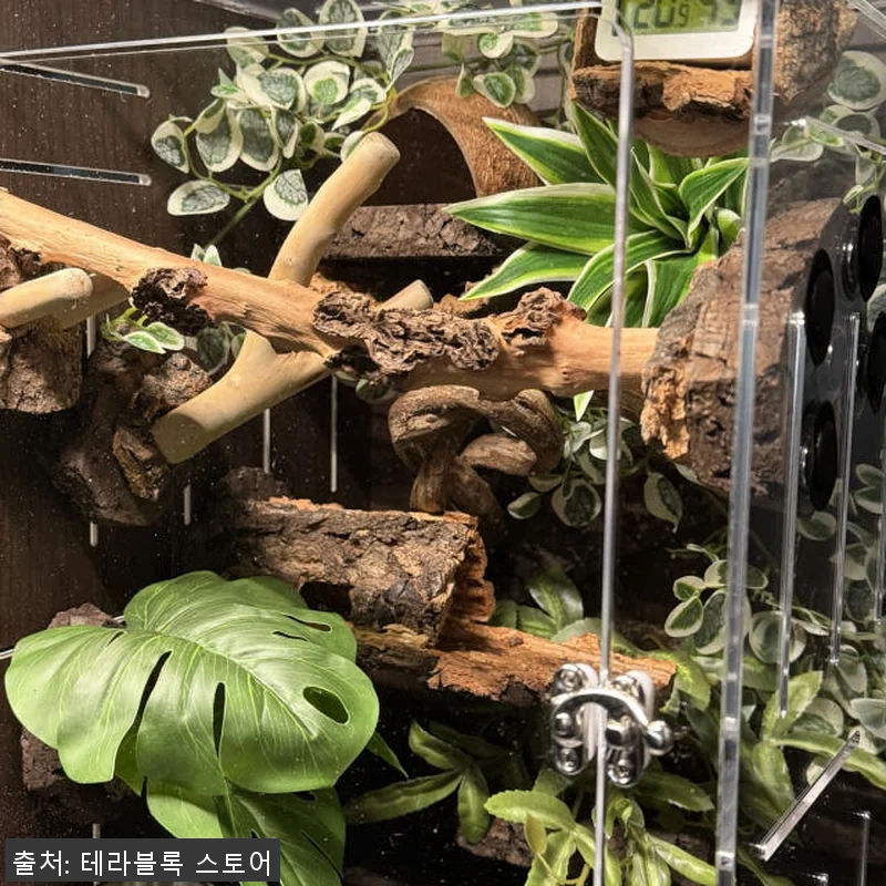 테라블록 3045 버튼잎바인 조화 시 관련 이미지 1