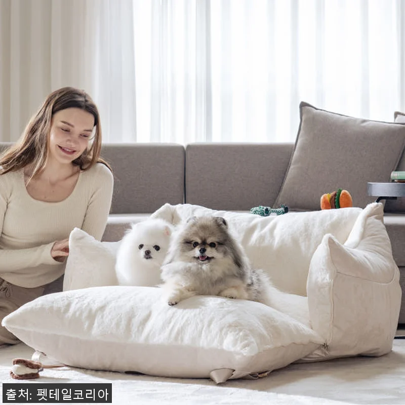 펫테일 셀러브리티 은나노 강아지 카시 관련 이미지 1