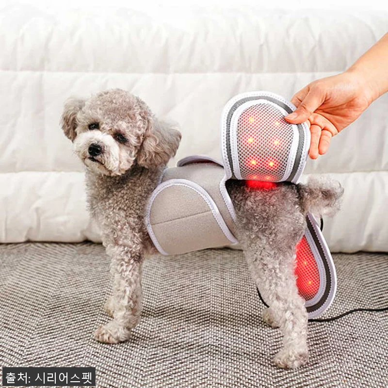 시리어스펫 슬개골 따땃망토 사용후기: 관련 이미지 1