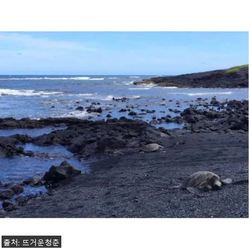 미국 하와이 빅아일랜드 코나 하와이 관련 이미지 1