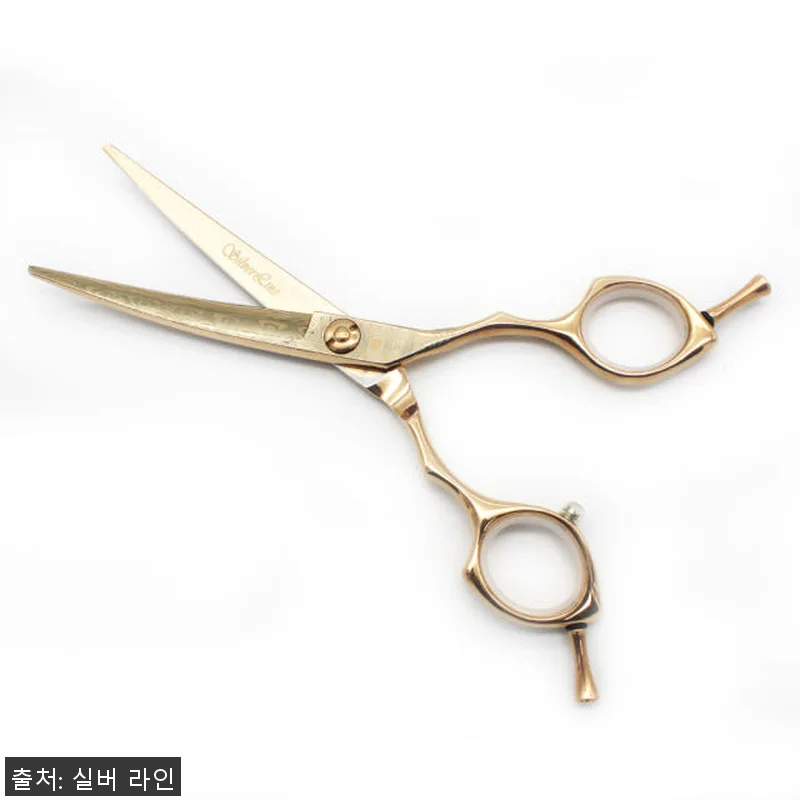 실버라인펫 MSC 강아지 애견 미용 관련 이미지 1