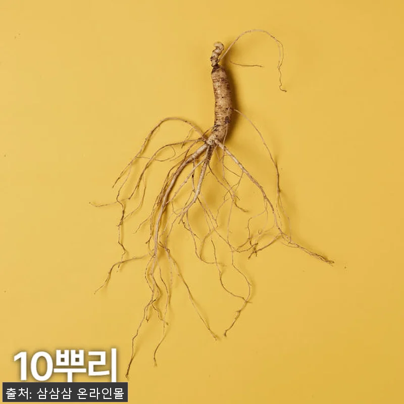 5,6년근 산양산삼 10뿌리 사용후기 관련 이미지 1
