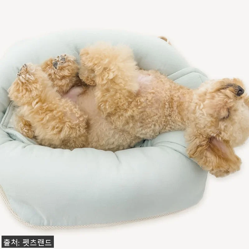 강아지 슬링백 이동 가방 포밍베딩백L 관련 이미지 1