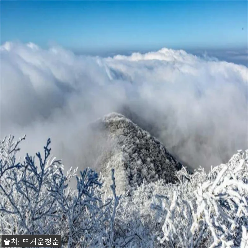 서울 출발 강원도 일일투어 사용후기 관련 이미지 1