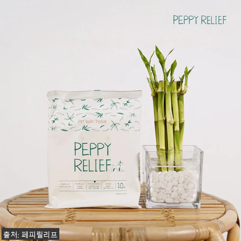 페피릴리프 강아지 바디티슈 10팩 대 관련 이미지 1