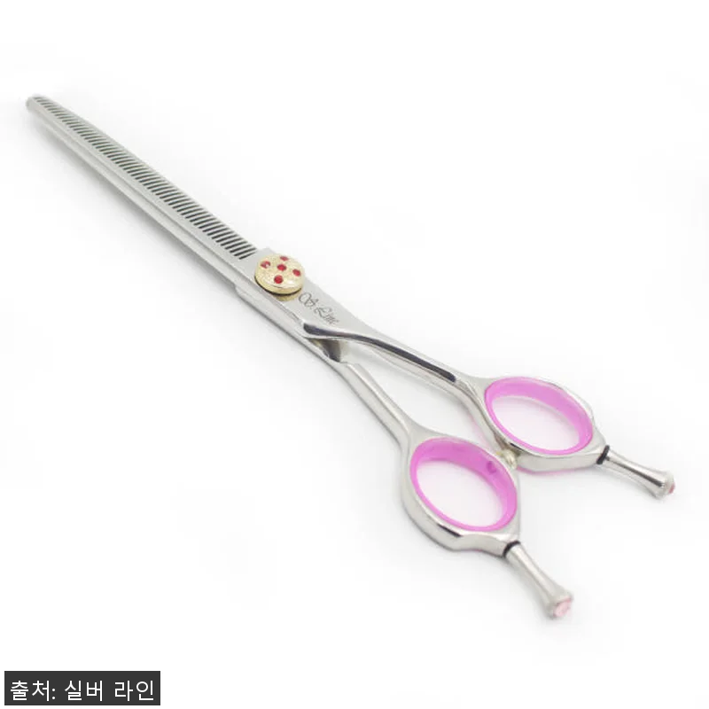 실버라인펫 DTT 강아지 애견 미용 관련 이미지 1