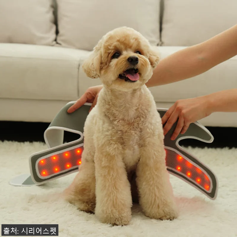 시리어스펫 슬개골 따땃망토 프로 사용 관련 이미지 2