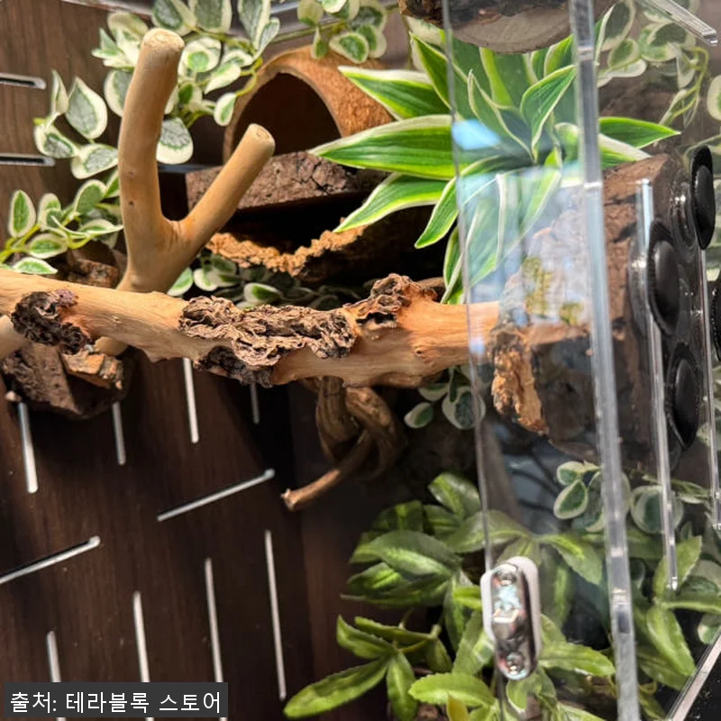 테라블록 3045 버튼잎바인 조화 시 관련 이미지 2