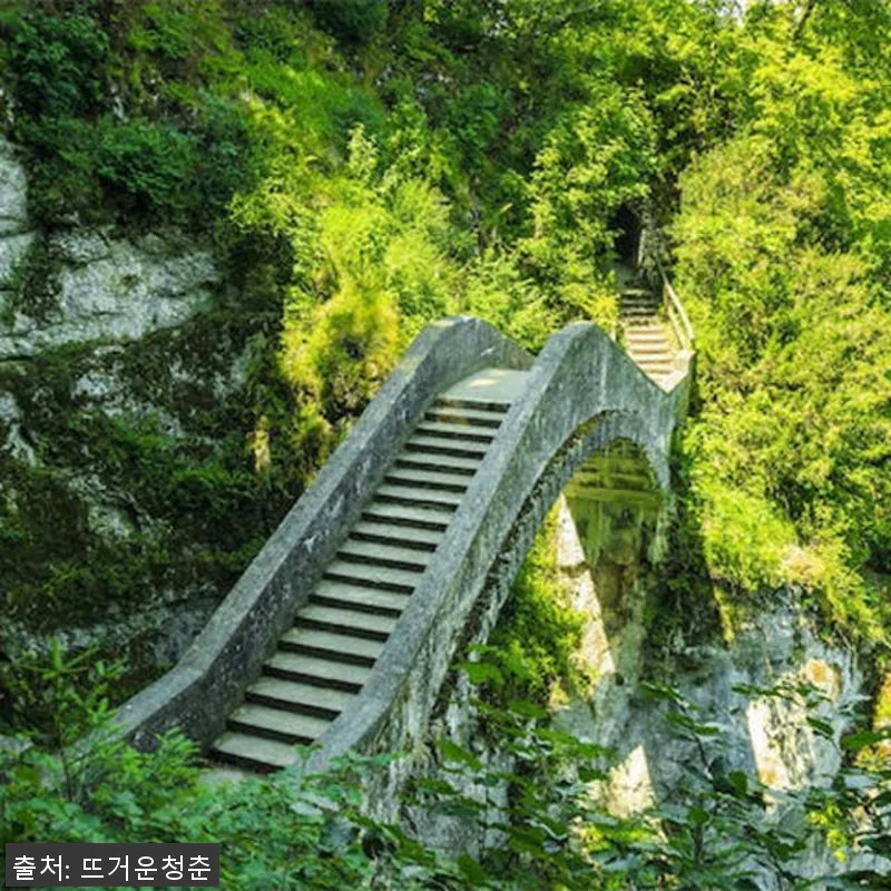 독일 검은 숲 프라이빗 하이킹 투어 관련 이미지 2