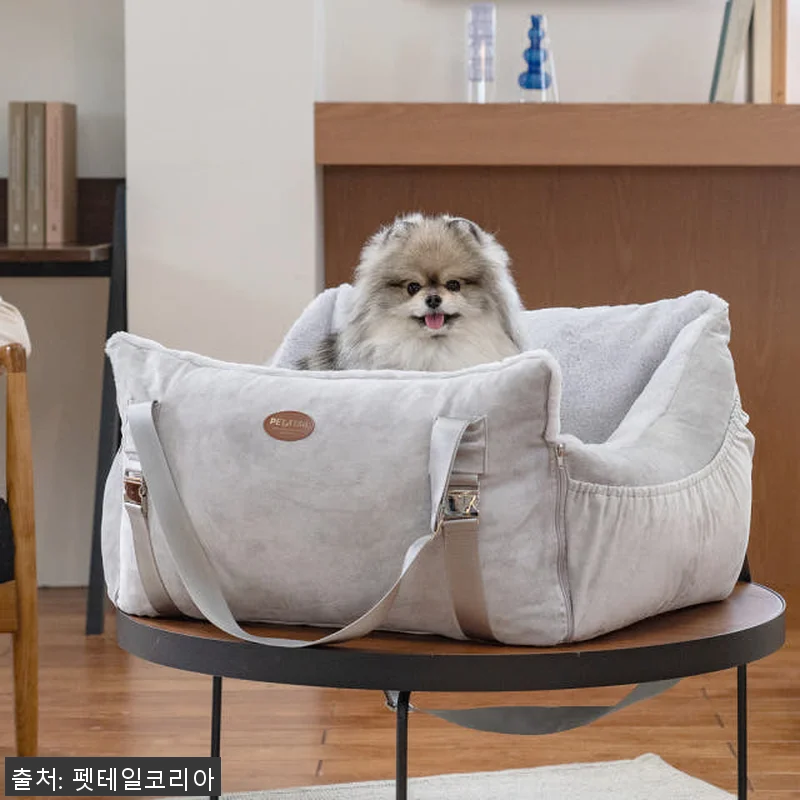 펫테일 셀러브리티 은나노 강아지 카시 관련 이미지 2