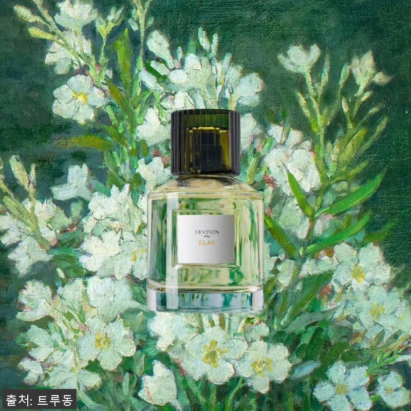 엘래 오 드 퍼퓸 100ml 사용후기 관련 이미지 2